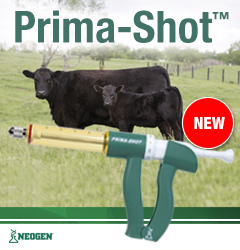 理想的®Prima-shot