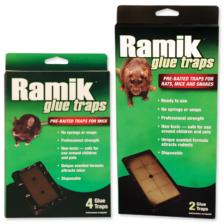 Ramik Glue Traps.